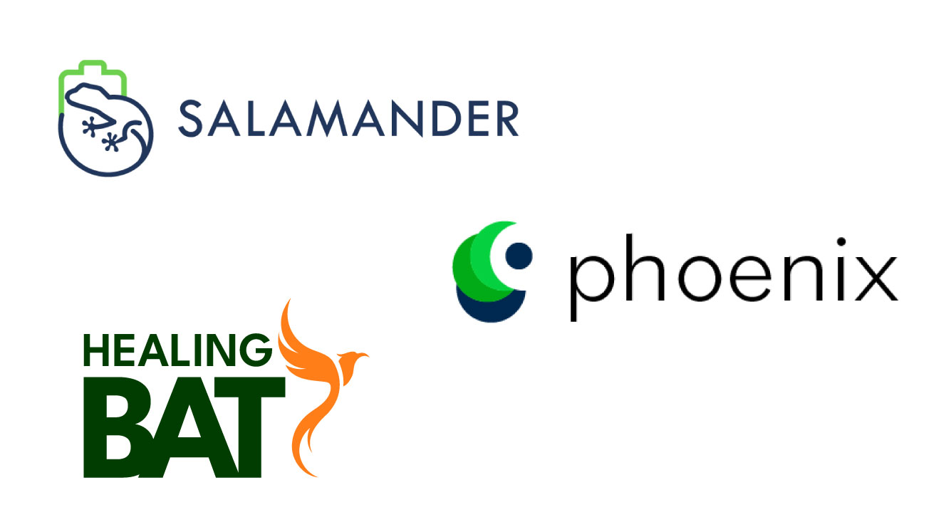 Salamander Phoenix Healing Bat