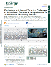 Mechanistic Insights and Technical Challenges in Sulfur-Based Batteries: A Comprehensive In Situ/Operando Monitoring Toolbox