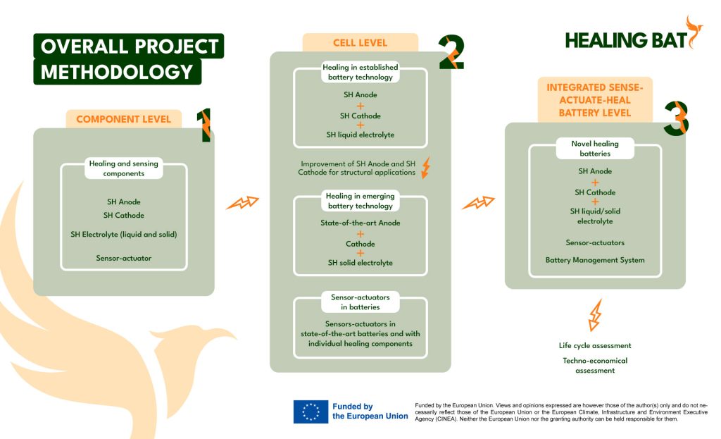 Healing Bat methodology infographic