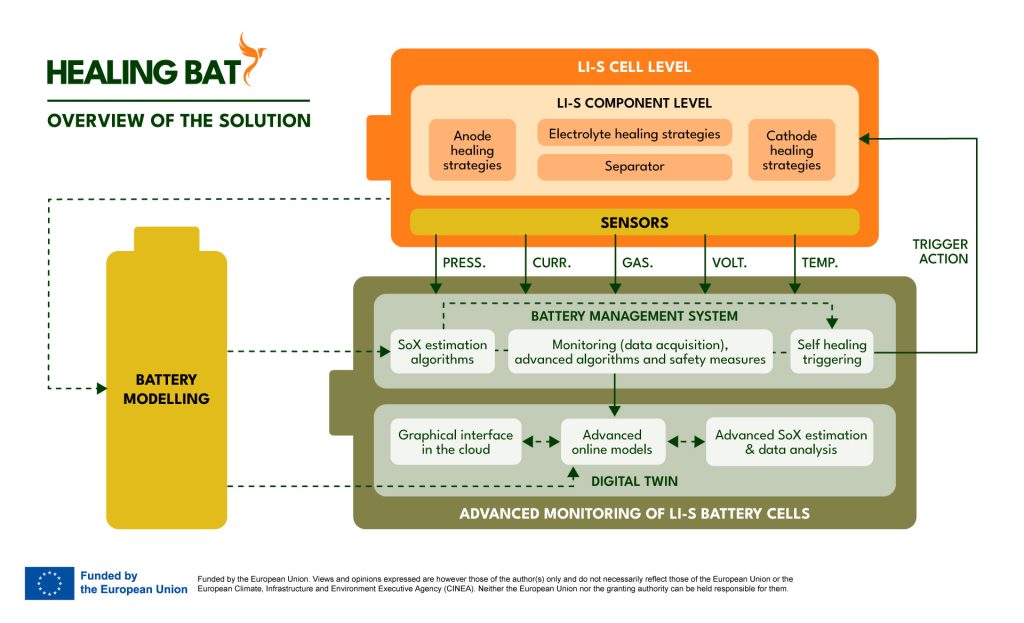 Healing Bat solution infographic